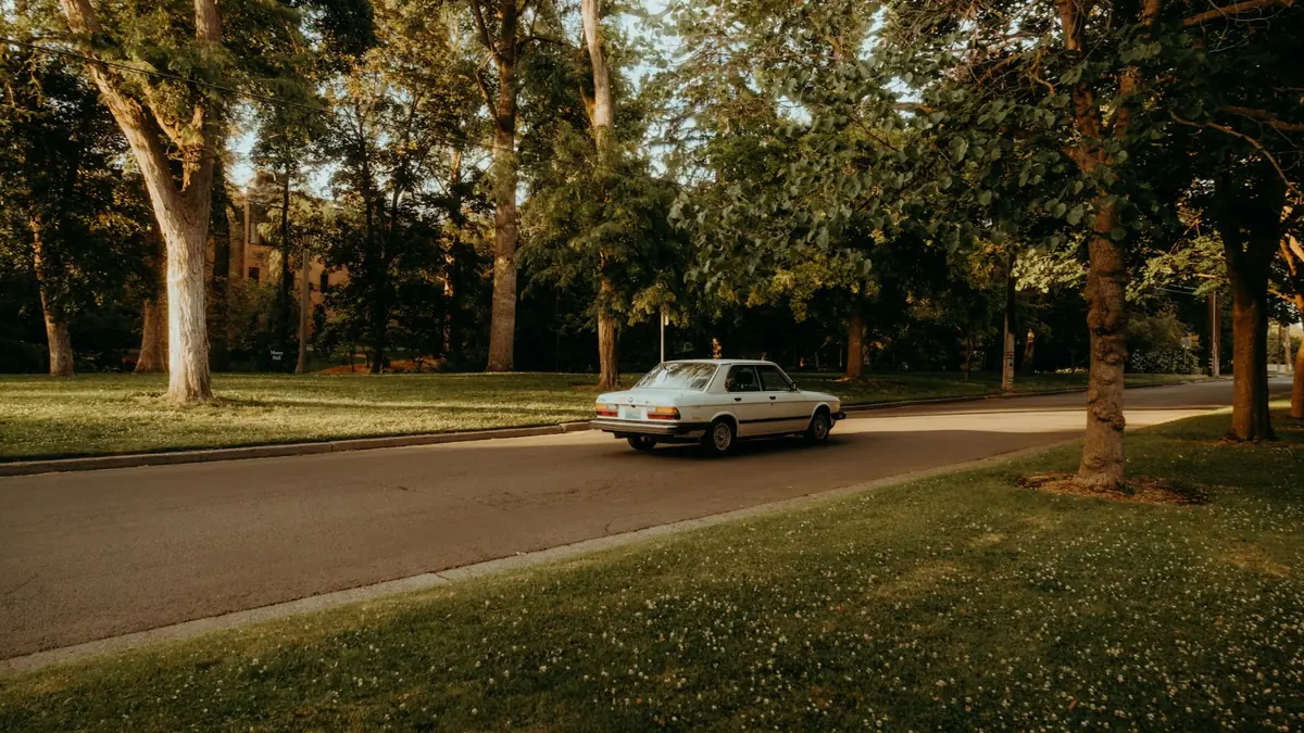 White car driving on a tree lined suburban road